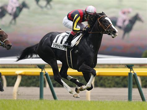 12月 20, 2019 | 投稿者: 【日本ダービー2019予想】3強に次ぐファンの支持はあの1勝馬 ...