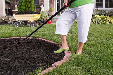 Spring Maintenance Lawn And Garden Cleanup A Touch Of Dutch