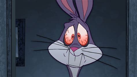 Free Download 45 Bugs Bunny Hd Wallpaper On 1920x1080 For Your