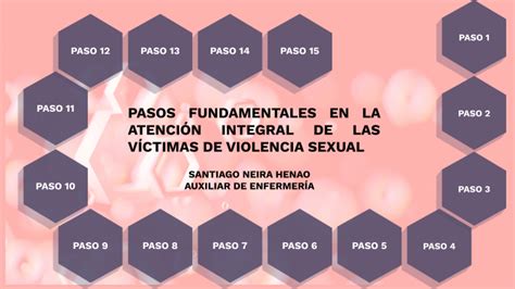 Pasos Fundamentales En La AtenciÓn Integral De Las VÍctimas De Violencia Sexual By Santiago