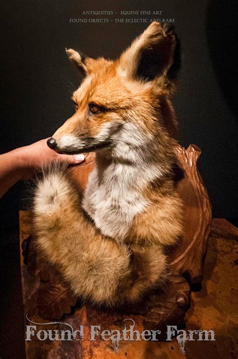 Vintage English Red Fox Taxidermy Mount On A Handcarved Wooden Etsy