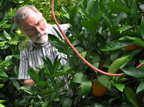 Join vancouver urban forestry in this free fruit tree pruning workshop from 10 am to noon on thursday, jan. Growing Mediterranean Fruit on Vancouver Island - BC Farms ...