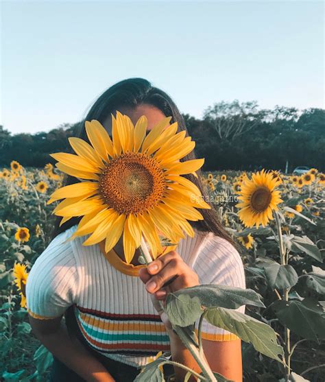 Imagen De Girl Sunflower And Tumblr Tumblr Photography Photography