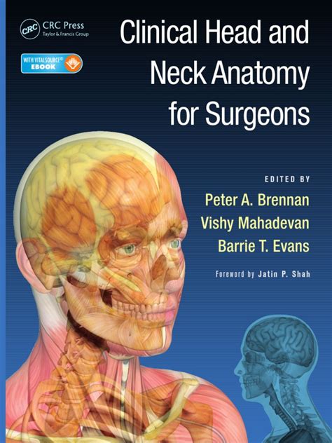 Head And Neck Anatomy Pdf Oral And Maxillofacial Surgery Skin