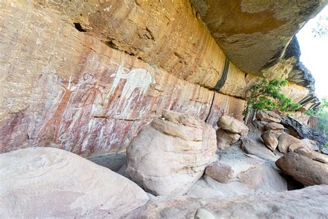 Quinkan Rock Art With Jarramali Rock Art Tours In 2023