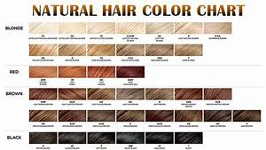 The Insider Secret On Natural Hair Color Chart 