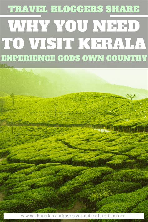 Why You Should Visit Kerala Inspiring Travel Stories