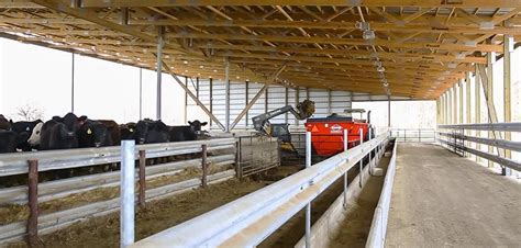 Kent Koger Cattle Barn Cattle Facility Cool Sheds