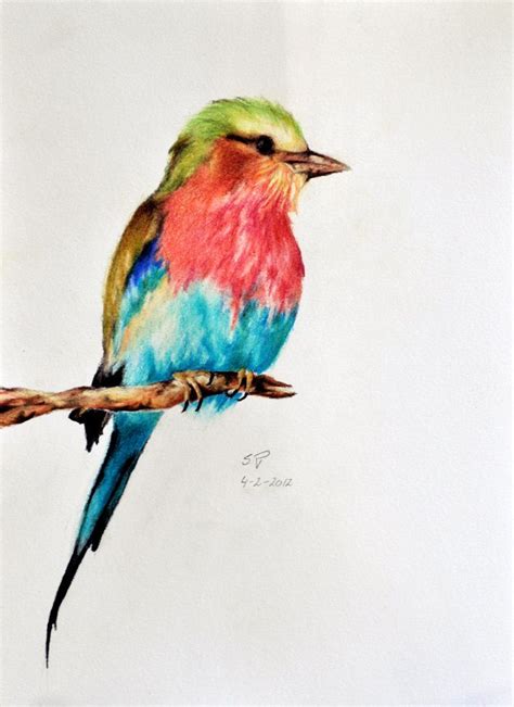 Pin De Nikki Em Bird Paintings Pinturas De Pássaros Pássaro De