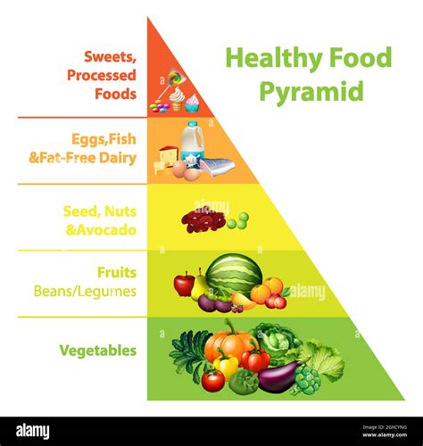 Chart Food Pyramid Drawing With Labels Food Pyramid C Vrogue Co