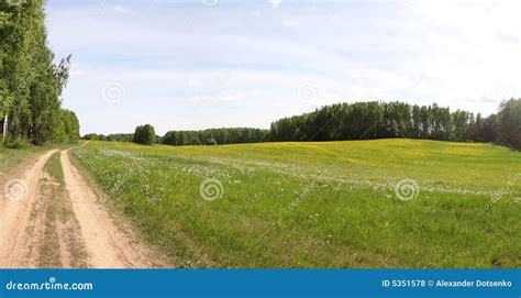 Panoramic Summer Field Stock Photo Image Of Color Cloudscape 5351578