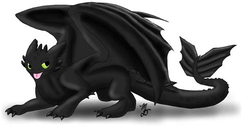 How To Train Your Dragon Toothless Png Free Download Png All Png All