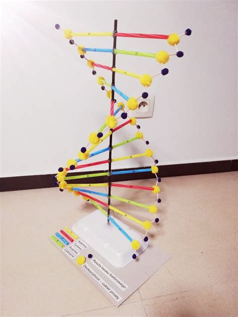 DNA 3D Model Idee creative Idee Creatività