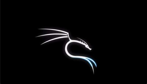 How To Update Your Kali Linux System