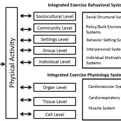 Kansas State University Physical Activity Systems Framework Download