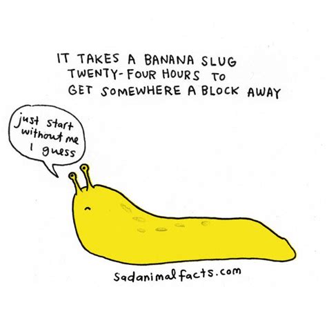 Banana Slug Sad Animal Facts Cartoon Gay Blog Queer Lgbt Funny