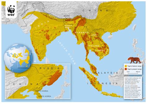 Geographic Distribution The Bengal Tiger
