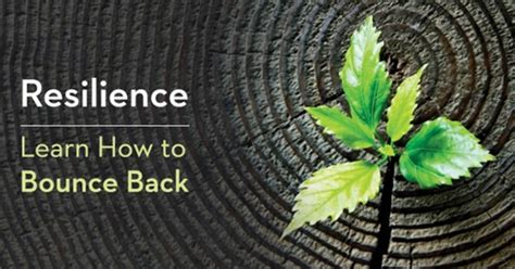 Resilience Learn How To Bounce Back With Mindfulness