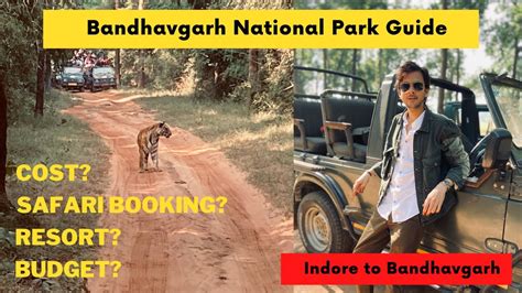 Bandhavgarh Safari Booking Budget Cost Hotels Resorts How To