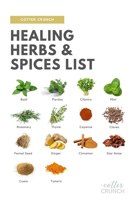 Healing Herbs And Spices List Guide