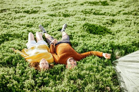Lovely Couple Lying In Green Grass On Meadow Stock Image Image Of