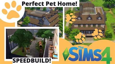 Building The Perfect Pet House In The Sims 4 Youtube