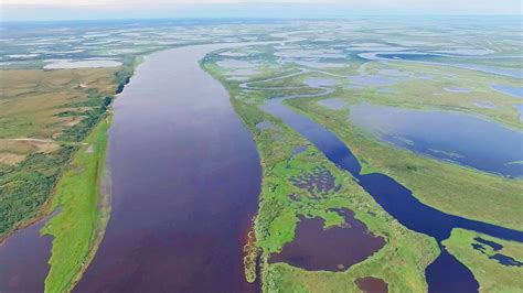 Greenhouse Emissions From Siberian Rivers Peak As Permafrost Thaws