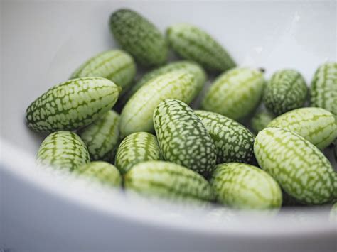 The Cucamelon Is The Cutest Summer Food You Should Be Eating Summer