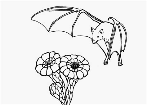 Fruit bat coloring pages | Free Coloring Pages and Coloring Books for Kids