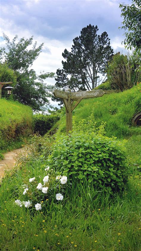 Bush With Flower And Greenery Hill Hobbiton House And Path