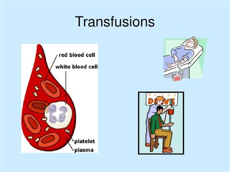 Ppt Administration Of Blood And Blood Products Powerpoint