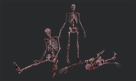 Artstation 10 Bloody Horror Skeletons Game Assets