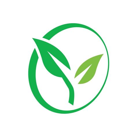 Eco Green Vector Eco Friendly Icon Recycle Logo Vector Packaging