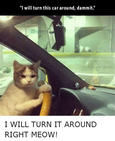 I Will Turn This Car Around Dammit I Will Turn It Around Right Meow