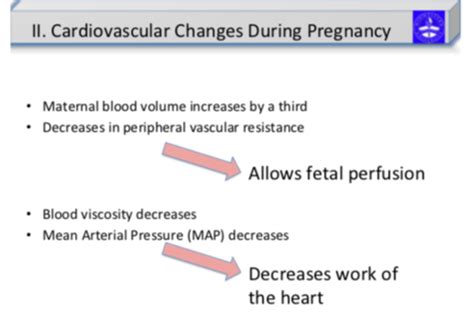 Maternal And Fetal Circulation 15 Flashcards Quizlet