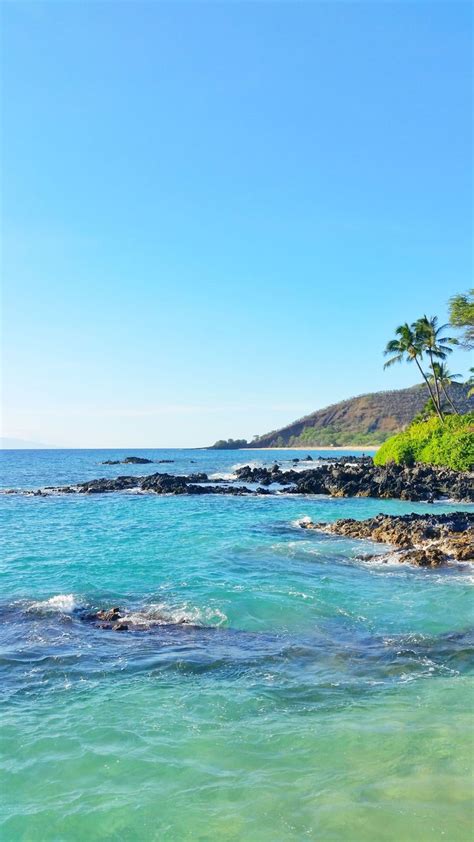Path To Hidden Makena Cove Beach Aka Secret Cove In Maui 🌴 Hawaii