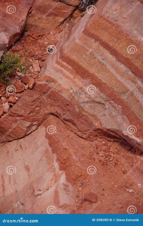 Detail Layers Of Red Sandstone Stock Photo Image Of Background
