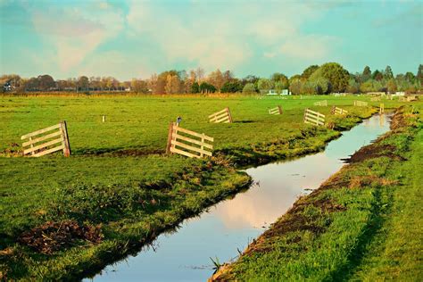 The paradox in groundwater level and biomass policies - Innovation Origins