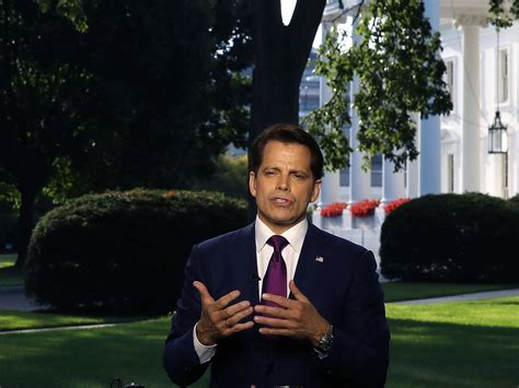 Anthony Scaramucci President Trump Should Have Called The Charlottesville Rally Terrorism Essence