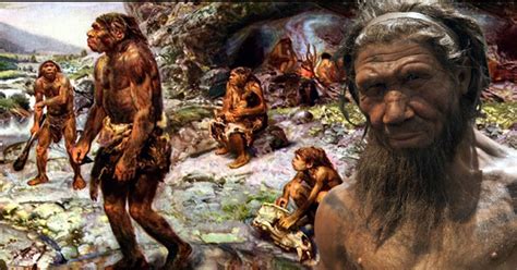 Did You Know That Other Humans Species Lived Alongside Modern Humans