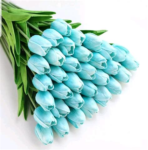 Kumpulan gambar untuk Belajar mewarnai: Gambar Bunga Tulip