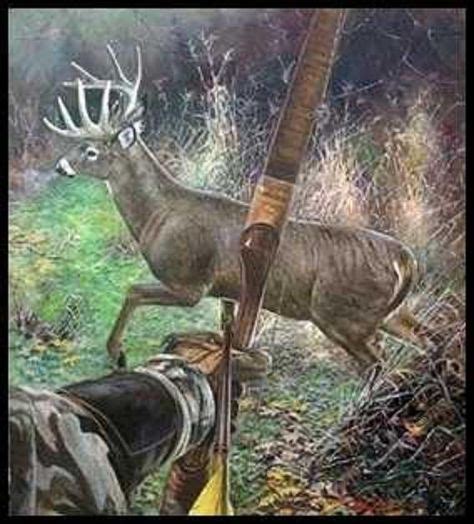 50 Best Traditional Bowhunting Ideas Traditional Bowhunting Bow