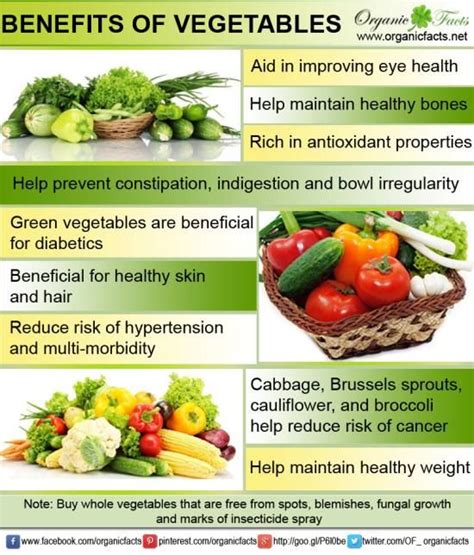 Vegetables Have Uncountable Health Benefits Its Rich Nutrient Value