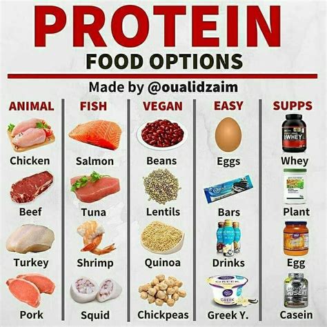 However, some protein sources are better than others. The BEST PROTEIN FOOD OPTIONS 🕵️📖🕵️ . Follow 👣 ...