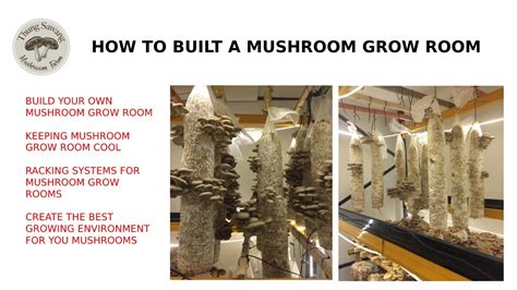 How To Build A Mushroom Grow Room Youtube