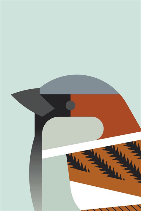 Épinglé sur Bird Art