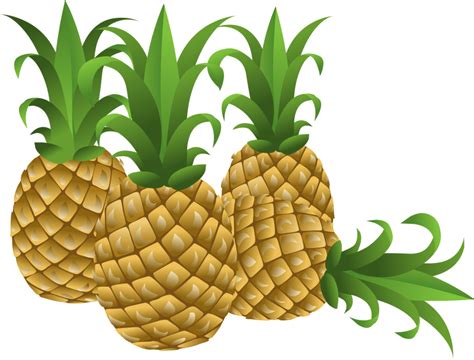 Watercolor Pineapples Clip Art Set Commercial Use Pineapple Clipartix