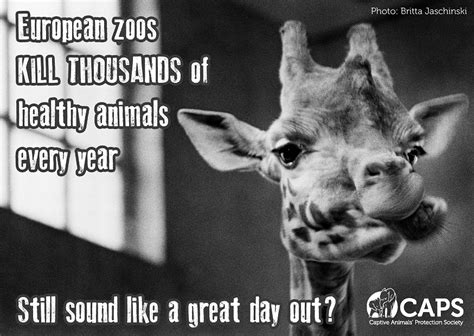 Zoos Quotes Image Quotes At