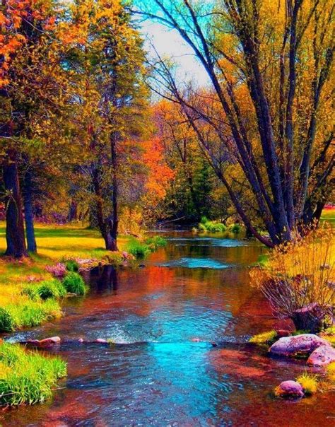 So Colorful Really Epitomizes Autumn Beautiful Nature Autumn