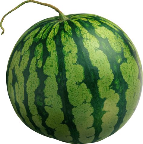 Large Isolated Watermelon Transparent Png Stickpng